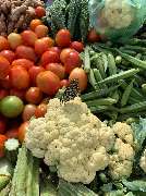 Import & Export GDP e.K - GALLERY