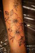 Ink-Creative - GALLERY