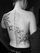 Inklabs Tattoo Studio - Halle - Fineline Blumen asymmetrisch auf Rücken angebracht. Ein Teil auf der Schulter, ein Teil auf der Hüfte und auf der Wirbelsäule ist ein Schriftzug. Diagonal auf dem Rücken.