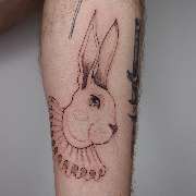 Inklabs Tattoo Studio - Halle - Fineline Hasenkopf, der einen gerüschten Kragen um den Hals hat. Angebracht am Unterarm.