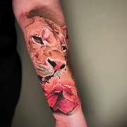 Inklabs Tattoo Studio - Halle - Realistische Löwein mit einer Blume auf dem Unterarm, schön in Farbe tätowiert.