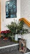 inlingua Sprachcenter - 1