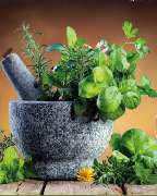 Inntal Gärtnerei - GALLERY