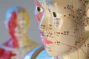 Institut für Chinesische Medizin, DRK Kreisverband Bremen e. V. - GALLERY