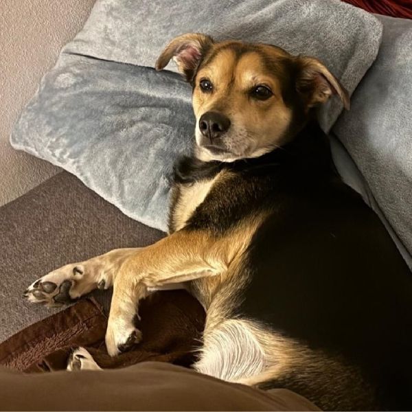 INTER Versicherungsgruppe Michael Ritschel - Büroh …