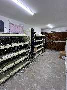 Intermine Solutions GmbH - Hosting ASIC Miner Farm