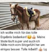IP-Horsepower Immo Peltzer - GALLERY