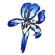 Iris-Apotheke am Eli - LOGO
