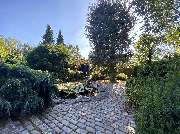 Iris Baumann - Immobilienmakler Rheinauhafen Köln - Immobilienmakler Rheinauhafen