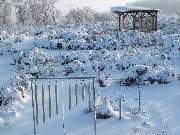 Irrgarten der Sinne - 17