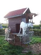 Irrgarten der Sinne - 27