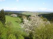 Isabel Eugenie Geisslinger - GALLERY