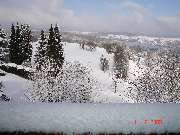 Isabel Eugenie Geisslinger - GALLERY