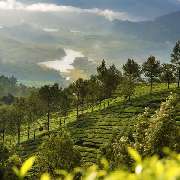 itravel Group - GALLERY