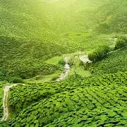 itravel Group - GALLERY