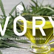 IVORY Stuttgart - GALLERY