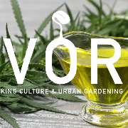 IVORY Stuttgart - GALLERY