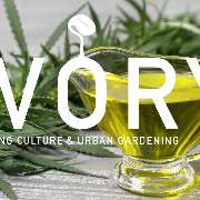 IVORY Stuttgart - GALLERY