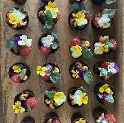 JacobsKulinarik - GALLERY