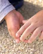 Jäckel-Paulukat Birgit - GALLERY