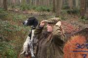Jagdhundeausbildung Sommer - GALLERY