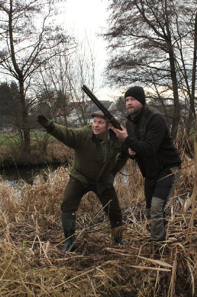 Jagdhundeausbildung Sommer - GALLERY