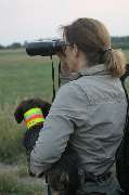 Jagdhundeausbildung Sommer - GALLERY