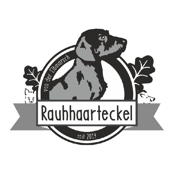 Jagdhundeausbildung Sommer - LOGO