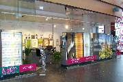 JalouCity - GALLERY