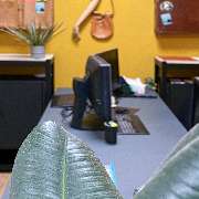 JANDAROSCHER - GALLERY