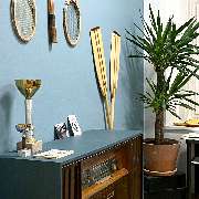 JANDAROSCHER - GALLERY