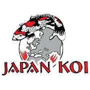 Japankoi Inh. Maik Holzhauer - LOGO