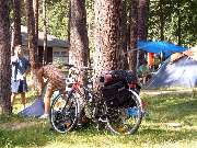 JATOUR Camping Am Spring Werbellinsee - Camping Caravan Freizeit Baden Strand-Gaststätte Bootsverleih Parkplätze - 2
