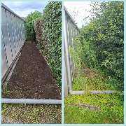 Jenny´s Kükenglück und Gartenzauber - img1753376907998.jpg