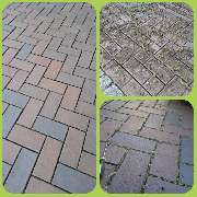 Jenny´s Kükenglück und Gartenzauber - img1755019151388.jpg