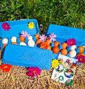 Jenny´s Kükenglück und Gartenzauber - PSX_20250816_101002.jpg