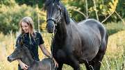 JK Sportpferde Pferdezucht Akupunktur Coaching mit Pferden - GALLERY