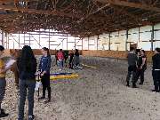 JK Sportpferde Pferdezucht Akupunktur Coaching mit Pferden - GALLERY