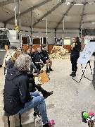 JK Sportpferde Pferdezucht Akupunktur Coaching mit Pferden - GALLERY