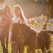JK Sportpferde Pferdezucht Akupunktur Coaching mit Pferden - GALLERY