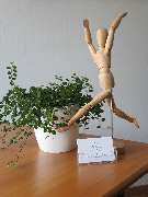 JMS - Osteopathie - GALLERY