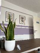JMS - Osteopathie - GALLERY