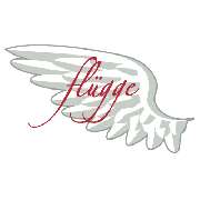 Jochen Flügge Metzgerei und Partyservice - LOGO