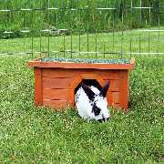Joels Nagerkiste Zoo-& Heimtierbedarf Onlineshop - 5