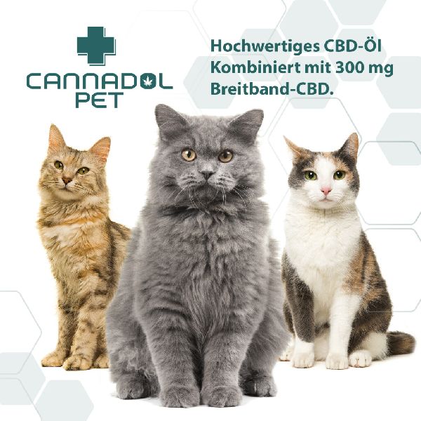 Jörg Faske - Cannadol_Cat_Mood_2.jpg