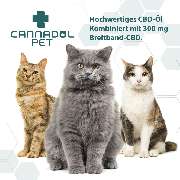 Jörg Faske - Cannadol_Cat_Mood_2.jpg