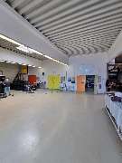 Jörg Starke Color Point L.E. / Color Shop - 34