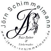 Jörn Schimmelmann, Freier Redner