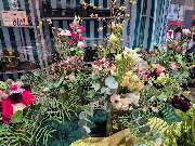 Johann Wurthmann - GALLERY