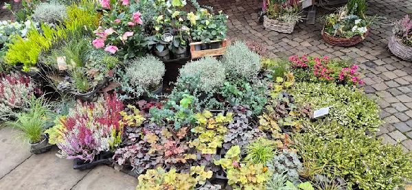 Johann Wurthmann - GALLERY